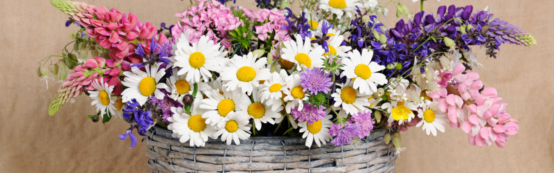 May Day Floral Basket Blog Banner
